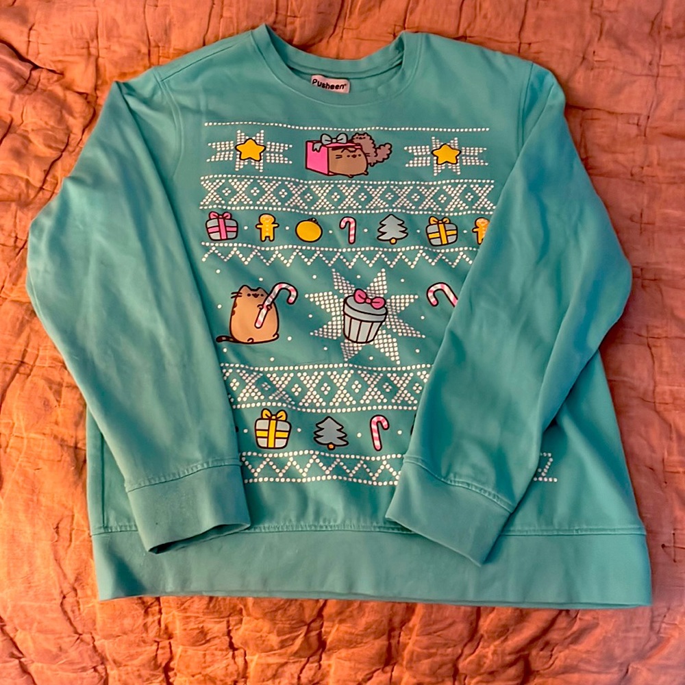 Pusheen Christmas sweatshirt.